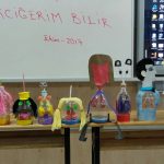 Akciğer modelleri
