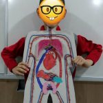 dolaşım sistemi modeli