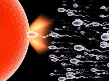 http://2.bp.blogspot.com/-vWgBbBwpRvk/Tb4z55sEqsI/AAAAAAAADio/uxWsPSi4a8w/s1600/sperm_attack.jpg