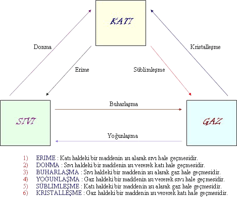 http://halitozogul.files.wordpress.com/2011/05/untitled-1.gif