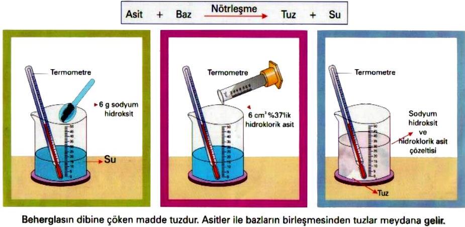http://www.fenbilimleri.org/images/a.15.jpg