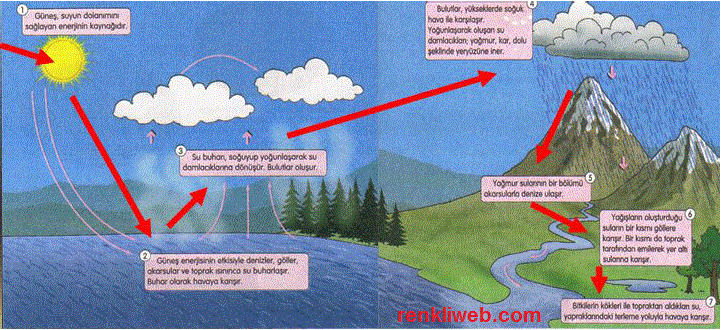 http://www.renkliweb.com/wp-content/uploads/2011/11/su-d%C3%B6ng%C3%BCs%C3%BC.gif