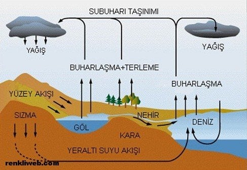 http://www.renkliweb.com/wp-content/uploads/buharla%C5%9Fma.jpg
