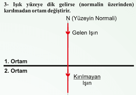 word-image-196-1.png