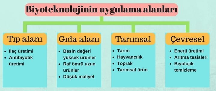 C:UsersfikretDesktopbiyoteknoloji.jpg
