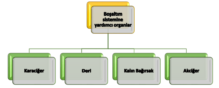 C:\Users\fikret\Desktop\Ekran görüntüleri\2018-08-13_11-59-19.png