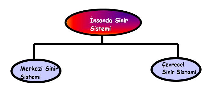 C:\Users\fikret\Desktop\Ekran görüntüleri\2018-08-13_12-56-48.png