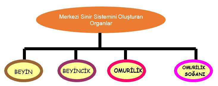 C:\Users\fikret\Desktop\Ekran görüntüleri\2018-08-13_12-57-29.png