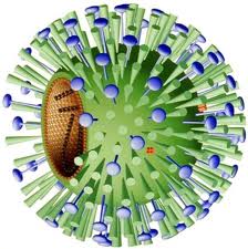 http://t2.gstatic.com/images?q=tbn:ANd9GcQnds3cVwvsbkivMRPeomAKBpiNrLxFzMta5vYj75vHf3QZwAGUbYqdZ98O
