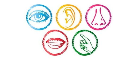 http://www.sosyalsosyal.com/wp-content/uploads/2012/02/5_duyu.jpg